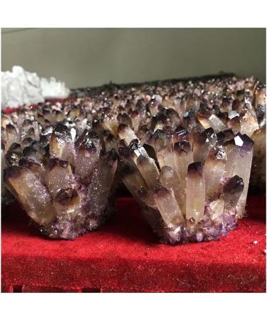 Natural Crystal Rough Natural Crystal Cluster Brown and Purple Specimen Purple Quartz Reiki Stone Raw Crystal Home Decor Household (Size : 400-500g) - Buy Online on GoSupps.com