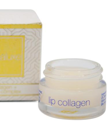 Somaluxe Lip Collagen Peptide + Stem Cell Complex 0.25oz - Hydrating Lip Treatment - Buy Online on GoSupps.com