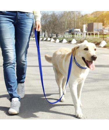 Personalized Large Dog Collar -Reflective Nylon with Pet Name & Phone Number - Tagme King Blue | 1 Pack - Buy Online on GoSupps.com