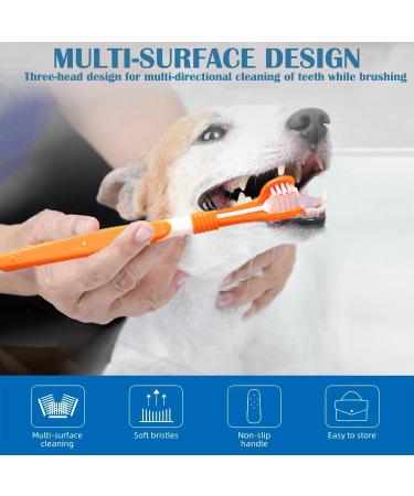 6-Piece Dog Dental Care Set | Toothbrush & Finger Brush with Storage Box | Pet Dental Hygiene for All Pets - Buy Online on GoSupps.com