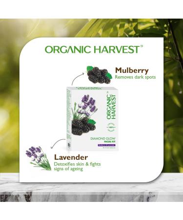 Organic Harvest Diamond Shine & Glow Make Over Facial Kit for Women / Men | 6 Easy Steps | Improves Luminous Radiant Complexion & Natural Glow to Skin | Ideal For All Skin Type | Chemical Free - 60g - Buy Online on GoSupps.com
