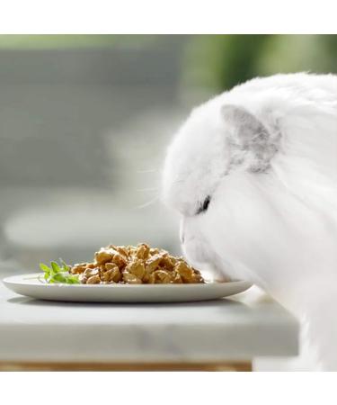 Purina Gourmet Pearl Fine Slices in Sauce 12 x 4 x 85 g  - Buy Online on GoSupps.com