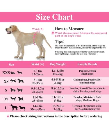 Dono Disposable Dog Diapers for Females - Super Absorbent & Leak-Proof | 48 Count | Perfect for Heat Incontinence & Irregular Traces | XXS to L Sizes - Buy Online on GoSupps.com