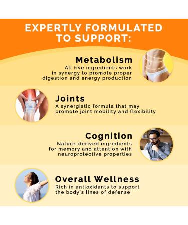 Ceylon Cinnamon (1pk) Liquid Collagen Biotin (2pk) and Fadogia Tongkat Ali (1pk) Supplement Bundle - Potent Vitamins for Heart Hair Skin Nails Testosterone & Immune Support - Non-GMO Vegan - Buy Online on GoSupps.com