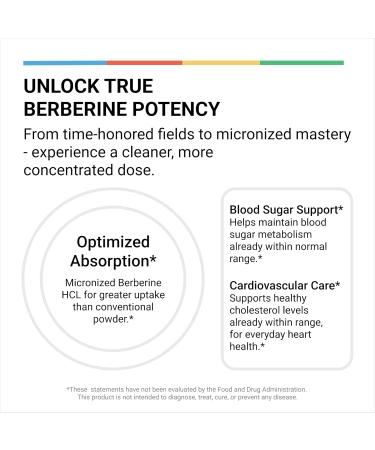 LivingRock Berberine HCL 1200mg with Ceylon Cinnamon - Berberine with Ceylon Cinnamon Supplement for Men & Women Weight Management & Metabolic Support Vegan Non-GMO Gluten-Free 90 Capsules - Buy Online on GoSupps.com