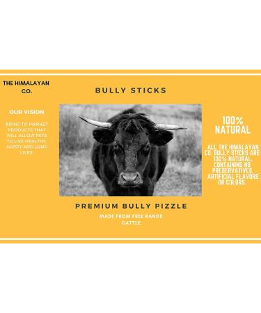 Bully Sticks for Dogs - Bully Sticks Dog Chew Treat - Low to No Odor Bull Pizzle - Thick Premium Long Lasting Bully Sticks - (6-8-12 INCH) *(6 INCH 7 Count OR More)* 47.14 g (Pack of 7) - Buy Online on GoSupps.com