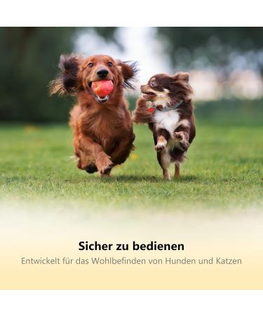 Thunderpaws Professional Dog Claw Scissors with Safety Lock & Nail File - Medium to Large - Green - Buy Online on GoSupps.com