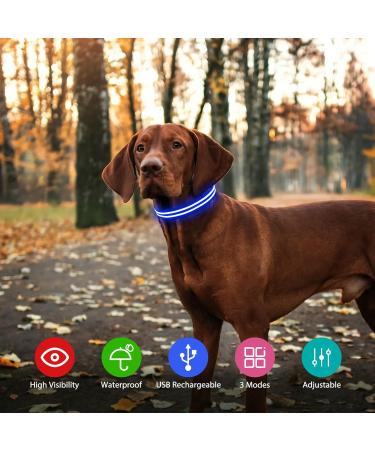 Luminous Adjustable Dog Collar - Waterproof LED Light for Small & Medium Dogs | Blue (38-50cm) - Enhanced Night Visibility - Buy Online on GoSupps.com