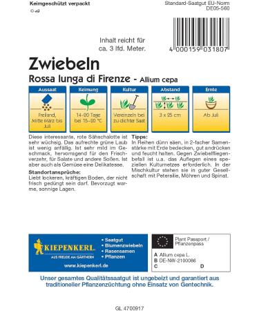 Buy Rossa Lunga di Firenze Red Spring Onions | Fresh Italian Onions for International Shipping - Buy Online on GoSupps.com