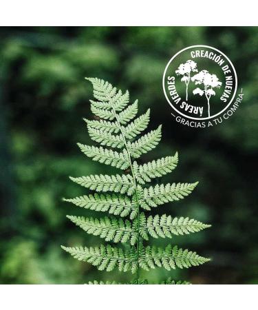 Hair Mask 200ml Natural Nourishing Cosmetics Natural Ingredients Vegan Botanical Natural Ingredients AGRADO Nature - Buy Online on GoSupps.com