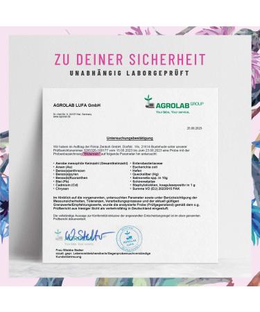 Buy Mary Distulum Artichoke Dandelion Capsules - 200mg Liver Complex with 80% Silymarin | Supports Liver Function | 120 Capsules - International Shipping Available - Buy Online on GoSupps.com