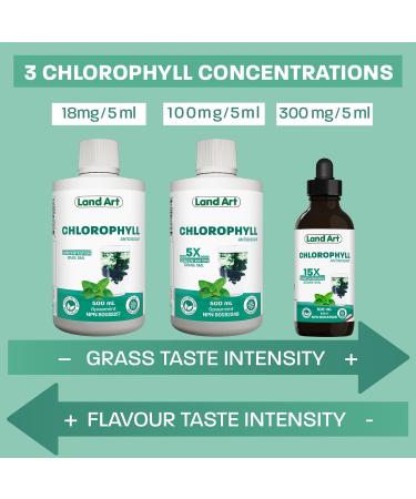 Liquid Chlorophyll Mint Cold Extracted from Non-GMO Alfalfa - Detox - Alkaline - Natural Body Deodorant Antioxidant - Made in Canada (Pack of 2) 500 ml (Pack of 2) - Buy Online on GoSupps.com