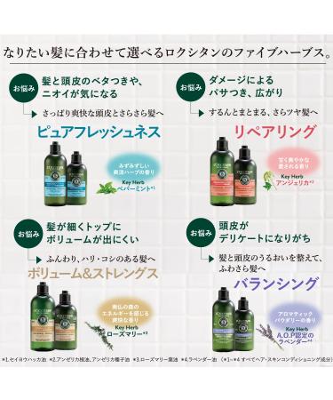 L'Occitane Intensive Repair Conditioner for Damaged Hair Refill 16.9 fl. oz. - Pack of 1 - Buy Online on GoSupps.com