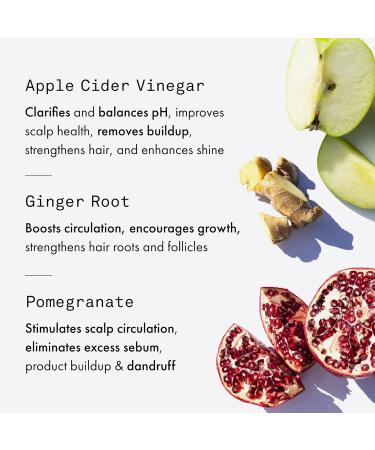 FEKKAI Apple Cider Detox SHAMPOO Deep cleansing for hair and scalp sulfatefree detox shampoo for all hair types 250 ml bottle 250 ml - Buy Online on GoSupps.com