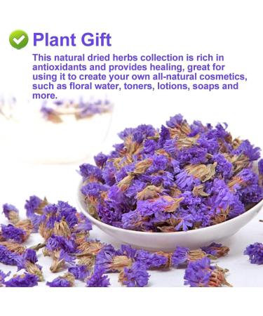 PlantGift Don't Forget Me Flower/Forget-me-not Flower Tea 30G/1oz Dried Myosotis Sylvatica Flower Potpourris Flowers DIY Candle Making Wedding Decoration - Buy Online on GoSupps.com