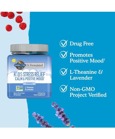 Garden of Life Kids Stress Relief Gummies - Non-GMO Calming Supplement with L-Theanine & Lavender - 60 ct Vegan Energy Support - Dr. Formulated for Positive Mood - Berry Citrus Flavor - Buy Online on GoSupps.com