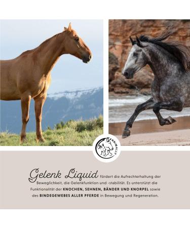Annimally Joint Liquid for Horses 1000ml - Devil Claw Glucosamine & MSM for Joint Health - Liquid Supplement Alternative to Powder - Buy Online on GoSupps.com