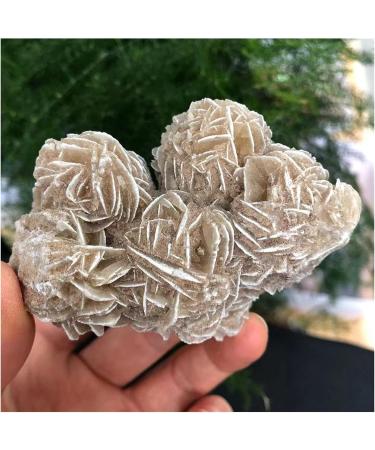 Natural Crystal Rough Natural Desert Rose Selenite Ra Crystal Stone Specimen Rough Sample Cluster FengShui Decor PEIQIYIN (Size : 300-400g) - Buy Online on GoSupps.com