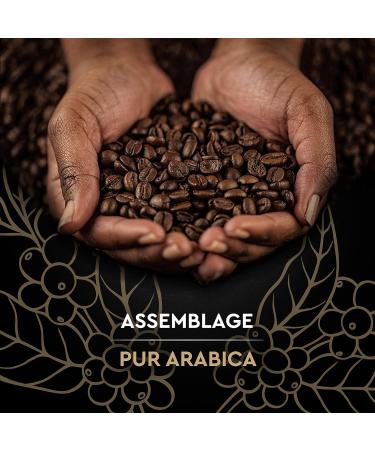Carte Noire Caf en Grains Classique Pur Arabica Certifi Rainforest Alliance 6 Paquets de 1 kg - Buy Online on GoSupps.com