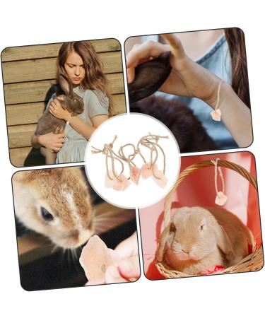 KONTONTY 5pcs Cattle Salt Lick Practical Rabbit Salt Animals Salt Small Pets Lick Salt Rope - Buy Online on GoSupps.com
