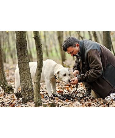 Black Truffle Olive Oil 100ml - Truffle Infused Extra Virgin Olive Oil - Buy Online on GoSupps.com