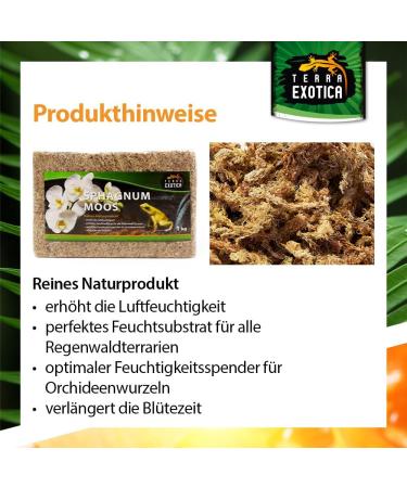 Buy Terra Exotica Sphagnum Moss (3x1 Kg) - Premium Peat Moss for Garden Houseplants & Terrariums - International Shipping Available - Buy Online on GoSupps.com