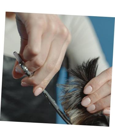 Buy Beaupretty 18 Pieces Decorative Scissors for Pets | Removable Finger Support & Claw Shears | International Shipping Available - Buy Online on GoSupps.com