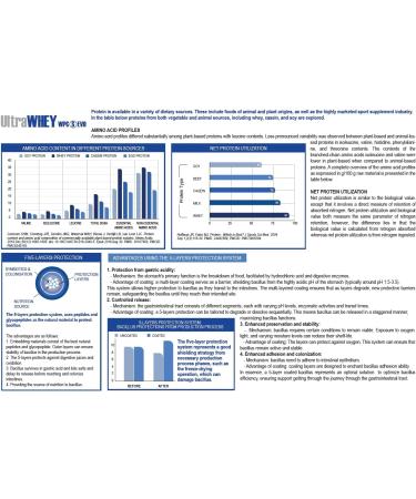 YAMAMOTO NUTRITION Ultra Whey WPC S EVO 900 g Concentrated and Instantized Whey Protein High Biological Value Muscle Mass Gain Vanilla Flavor - Buy Online on GoSupps.com