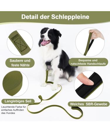 Buy XBen 5m Waterproof Dog Tow Lines - Rubberized Drag Line with Lockable Carabiner | Ideal Leash for Small & Medium Dogs | Durable Training Line with Hand Loop - Green - Buy Online on GoSupps.com