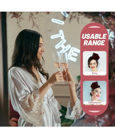 minkissy Steampunk Small Top Hat Small Rose Mesh Decor Halloween Hat Fascinator Wedding Party Tea Hat for Women Girls Mini Top Hat Halloween Party - Buy Online on GoSupps.com