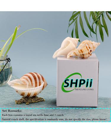 Handmade Natural Scented Candles - Conch Shell Soy Wax with Essential Oils | Perfect Gifts for Birthdays Christmas & Stress Relief - Buy Online on GoSupps.com