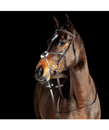 HORZE Prescott Figure 8 Bridle - Brown, Horse Size - Buy Online on GoSupps.com