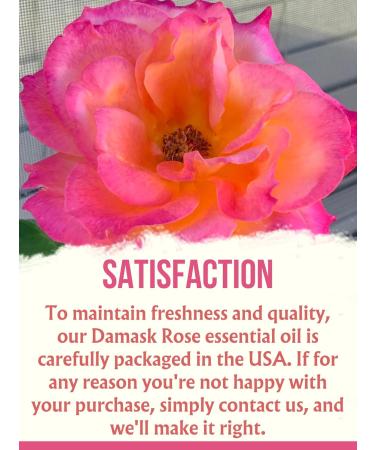 Bulgarian Damask Rose Essential Oil - 100% Pure Therapeutic Grade - Undiluted Natural 10ml | Buy Online International Shipping - Buy Online on GoSupps.com