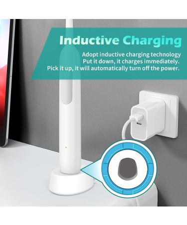 Electric Toothbrush USB Charger for Oral-B Models 1000 3000 3757 6500 | Portable Inductive Charging Base Replacement for Travel - Buy Online on GoSupps.com