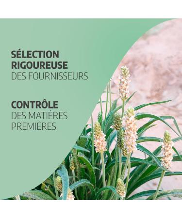 Psyllium Blond integuments 380 mg - 200 capsules - Buy Online on GoSupps.com