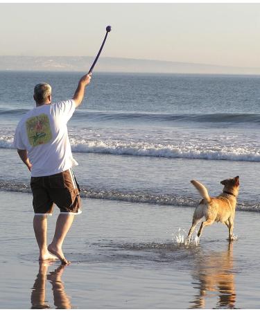MNQ Dog Ball Launcher (Pack Of 2) Dog Ball Launcher Thrower - Toys for Dogs - Ball Thrower Assorted Colours With 2 Tennis Balls - Buy Online on GoSupps.com