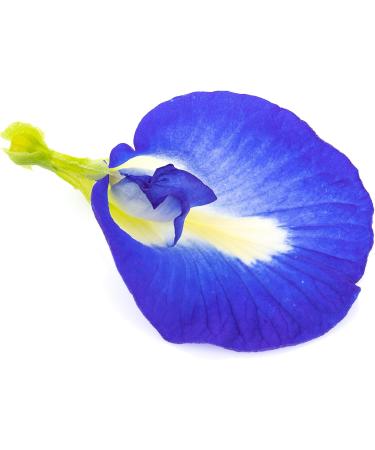 Blue Pea Flower Tea whole Loose flowers 30grams delicate and Colourful Herbal Tea - Buy Online on GoSupps.com