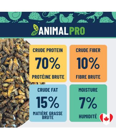 AnimalPro Crickets for birds 227 g - 0 5 LB - Buy Online on GoSupps.com