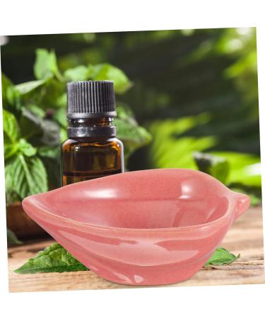 Minkissy Ceramic Shells Set - 8 Essential Oil Holders Decorative Bowls & Plates for Facial Care Salsa & More - Buy Online on GoSupps.com