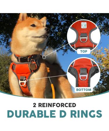 Embark Pets Adventure Dog Harness Medium - No Pull, Anti-Pull, Adjustable, Orange - Chest 60-77 cm - Buy Online on GoSupps.com