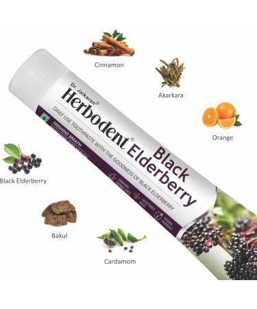 Herbodent Black Elderberry Toothpaste - 6.53 oz Pack of 1 | Toothpaste with The Goodness of Black Elderberry | SLS Free | 5 Organic Herbs 6.53 Ounce (Pack of 1) - Buy Online on GoSupps.com