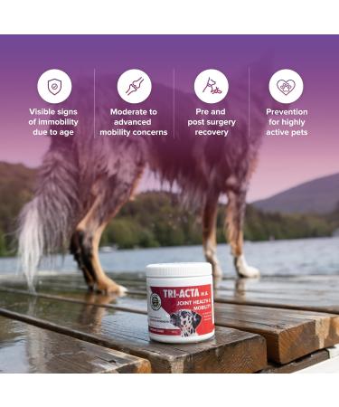 Integricare Joint Supplement for Pets - Hip and Joints Supplement for Dogs - with Glucosamine Msm Powder Chondroitin and Hyaluronic Acid for Dogs and Cats 60g - Buy Online on GoSupps.com