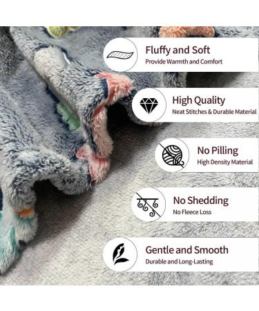 MOYORA Glow In The Dark Dinosaur Blanket - Soft Toy Cozy Flannel Throw for Boys and Girls - Perfect Birthday Gift - 50 x 60 - Buy Online on GoSupps.com