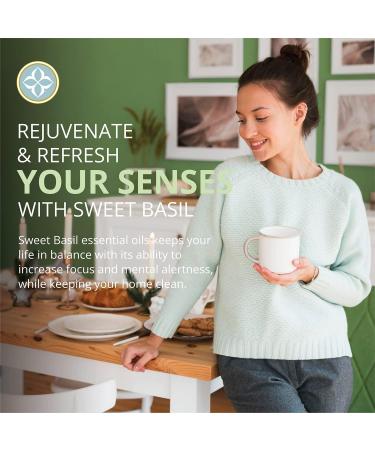 Sweet Basil Natural Dish Soap Chemical-Free Plant-Based Liquid with Essential Oils | Eco-Friendly Household Cleaning (16 oz - Buy Online on GoSupps.com