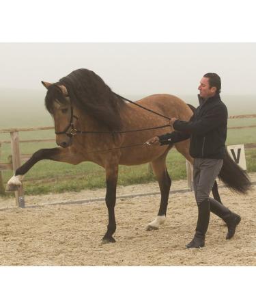 Ireland Rambo Micklem Competition Bridle - Black Large Horse - Premium Equestrian Gear for Global Shipping - Buy Online on GoSupps.com