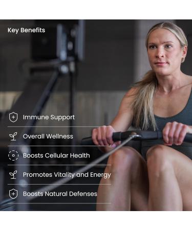 Immune Health Plus - Advanced Immune Defense with 9-in-1 Powerful Blend of Vitamin C Vitamin D3 Zinc Elderberry Organic Maitake Shiitake & Reishi Mushrooms Beta Glucans Immune Supplement - Buy Online on GoSupps.com