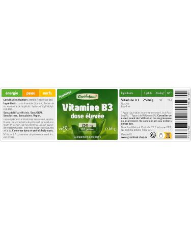 Greenfood Vitamin B3 without flush 250 mg high dose 120 capsules - reduce fatigue. No artificial additives. No genetic engineering. Vegan. - Buy Online on GoSupps.com