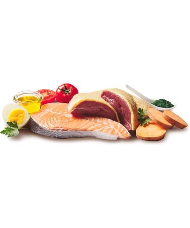 DOGGY Dog Pat 6 x 200g Cans Grain Free Wet Dog Food with Salmon Oil and Green-Lipped Mussel Complete Food with Sweet Potato and Tomato Made in Germany - Buy Online on GoSupps.com