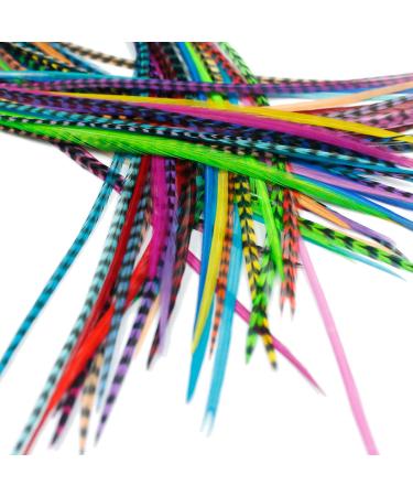 One Fine Day Feathers 25 Real Feather Hair Extensions: Short Skinny 7-9 inch (18-23cm) + Rings/Loop (Mixed Brights)