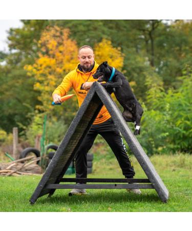 Buy Bull Fit Dog Toy - 30 cm Durable Fire Hose K9 Training Tug with Hand Loop - Robust Handmade Orange Dog Toy for Taming and Play - Buy Online on GoSupps.com